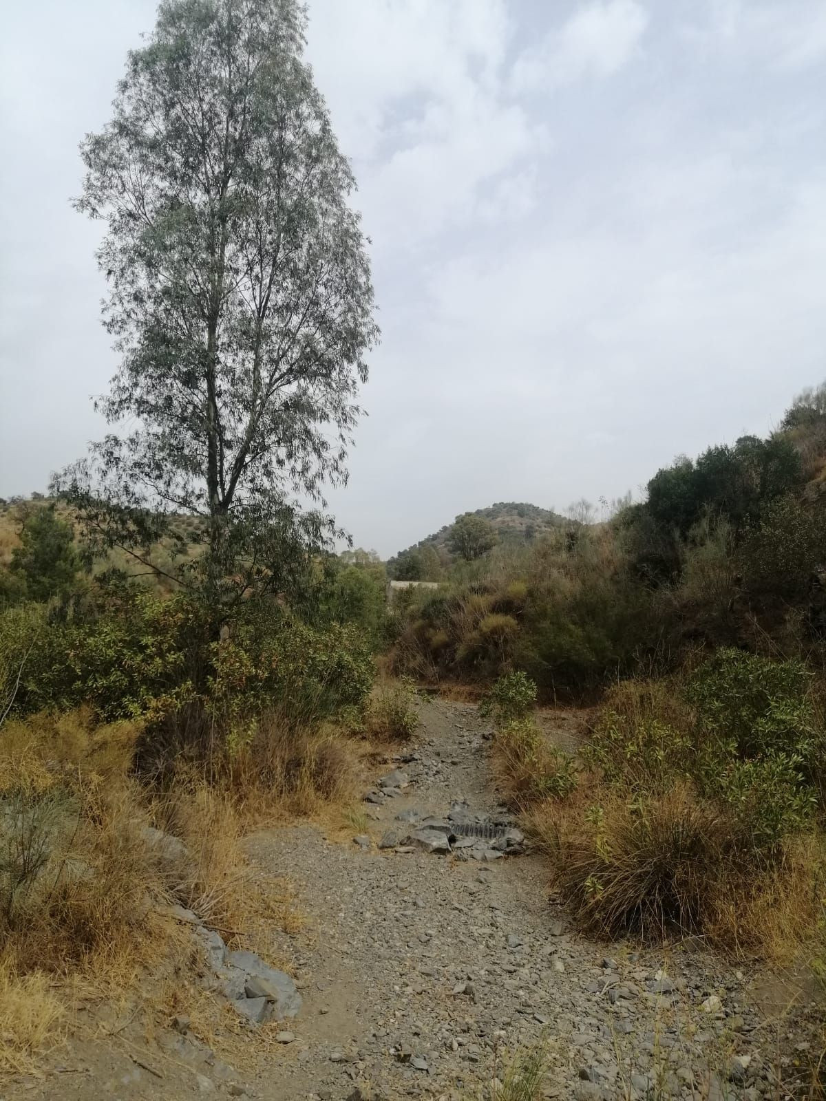 Plots for sale in Cártama Costa Del Sol, Málaga, Spain