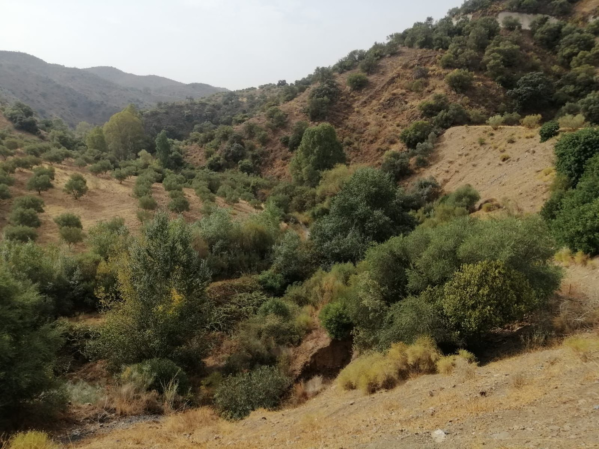 Plots for sale in Cártama Costa Del Sol, Málaga, Spain