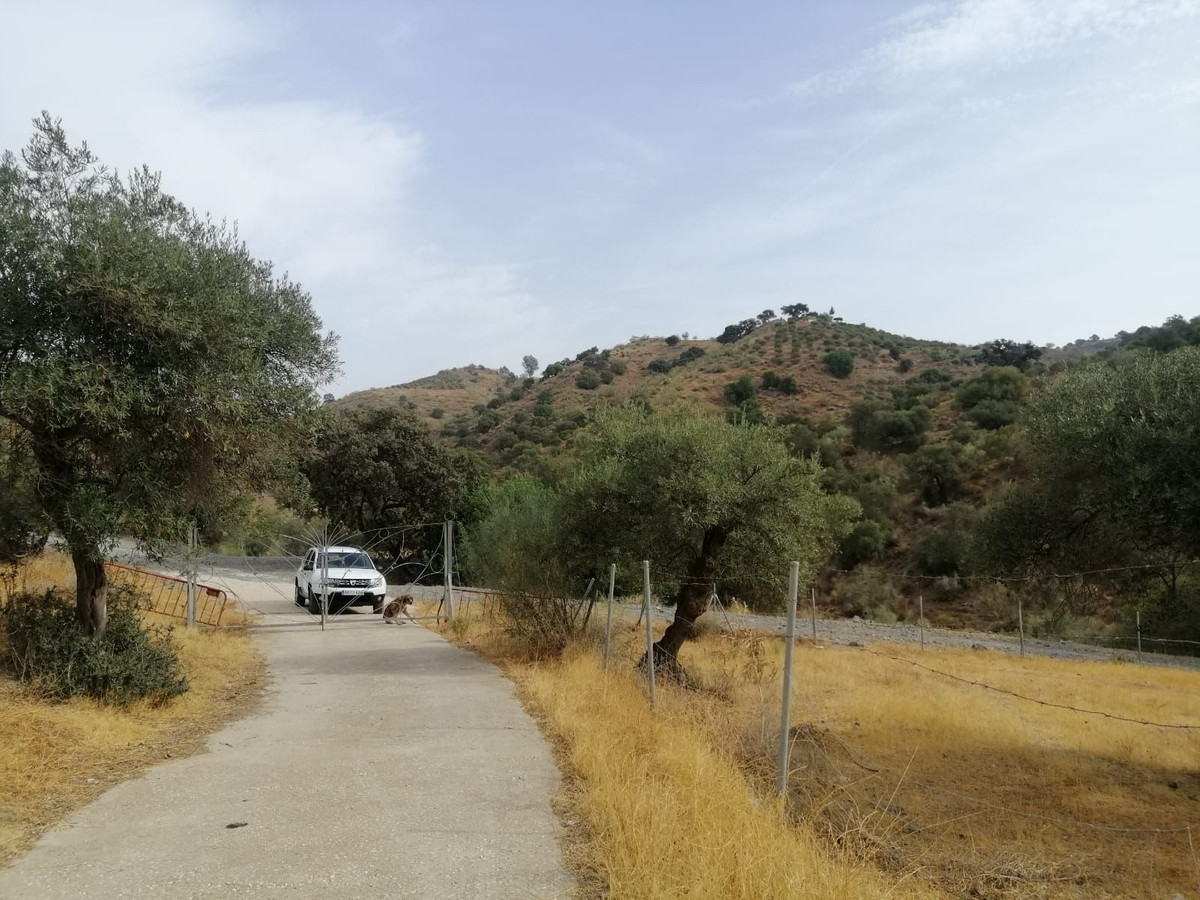 Plots for sale in Cártama Costa Del Sol, Málaga, Spain