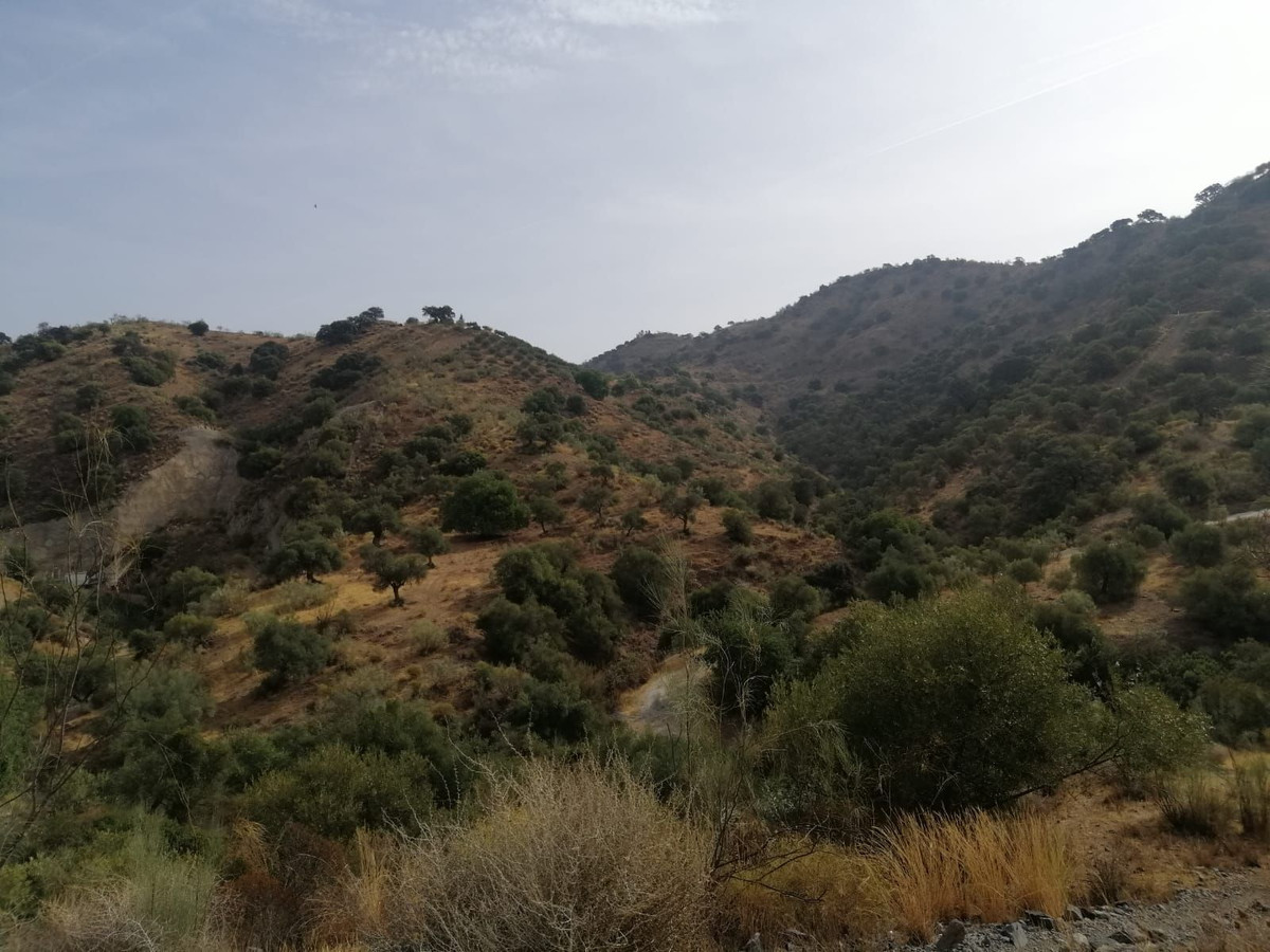 Plots for sale in Cártama Costa Del Sol, Málaga, Spain