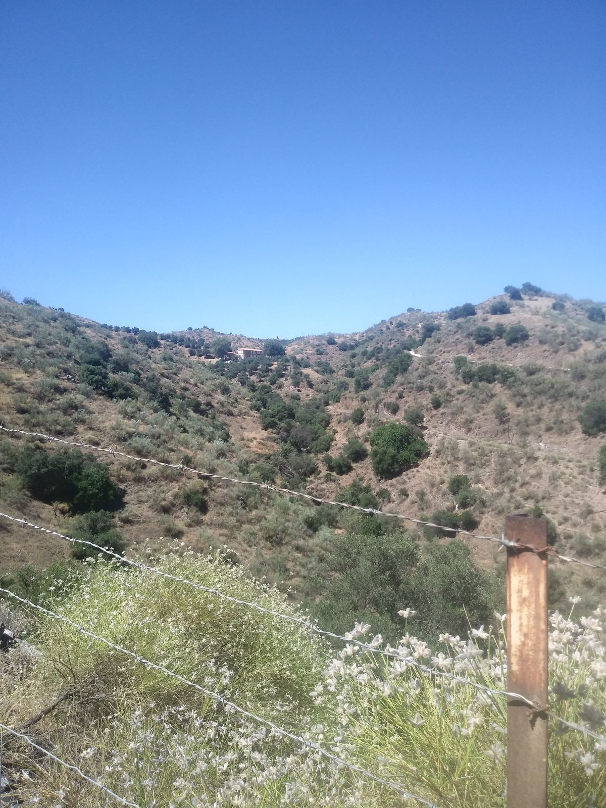 Plots for sale in Cártama Costa Del Sol, Málaga, Spain