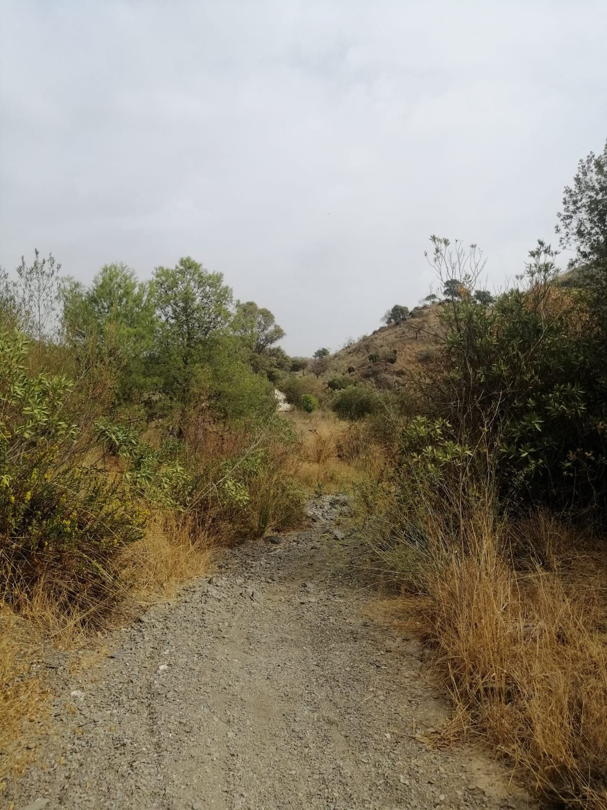 Plots for sale in Cártama Costa Del Sol, Málaga, Spain