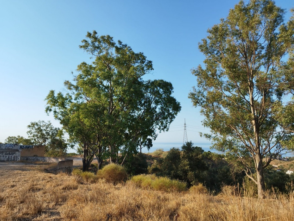 1 Bed Plots for sale in Benajarafe Costa Del Sol East, Málaga, Spain
