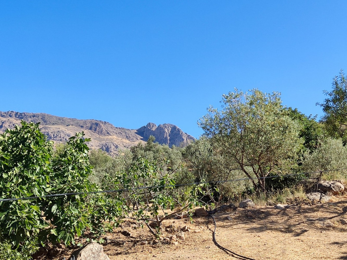 Se vende Villa - Chalet de 4 dormitorios en Costa Del Sol East, Málaga, España