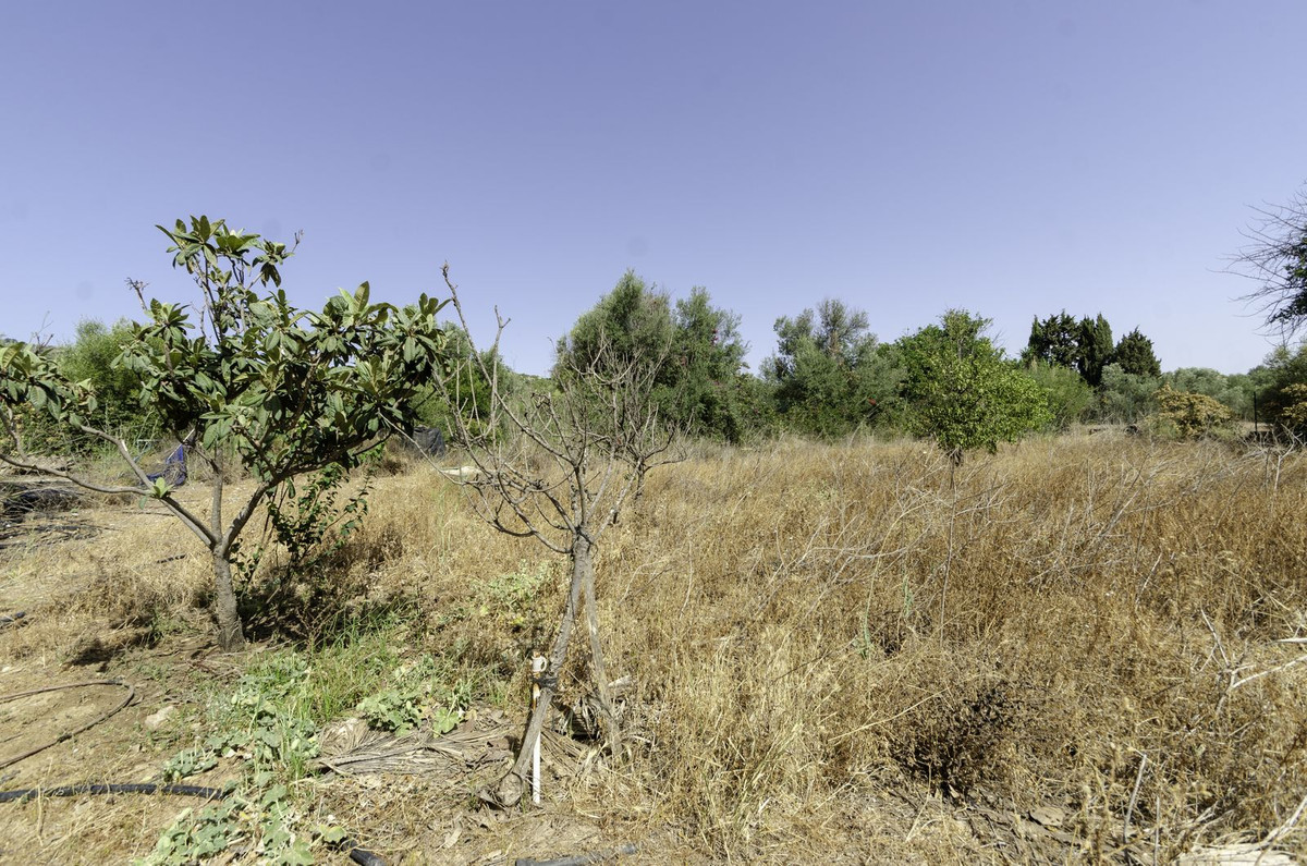 Se vende Terreno Rustico  en Málaga Ciudad, Málaga, España
