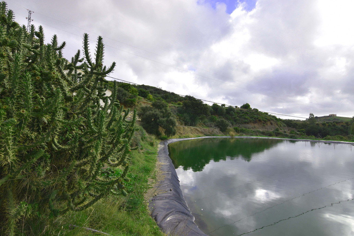 Se vende Finca - Cortijo de 8 dormitorios en Costa Del Sol, Málaga, España