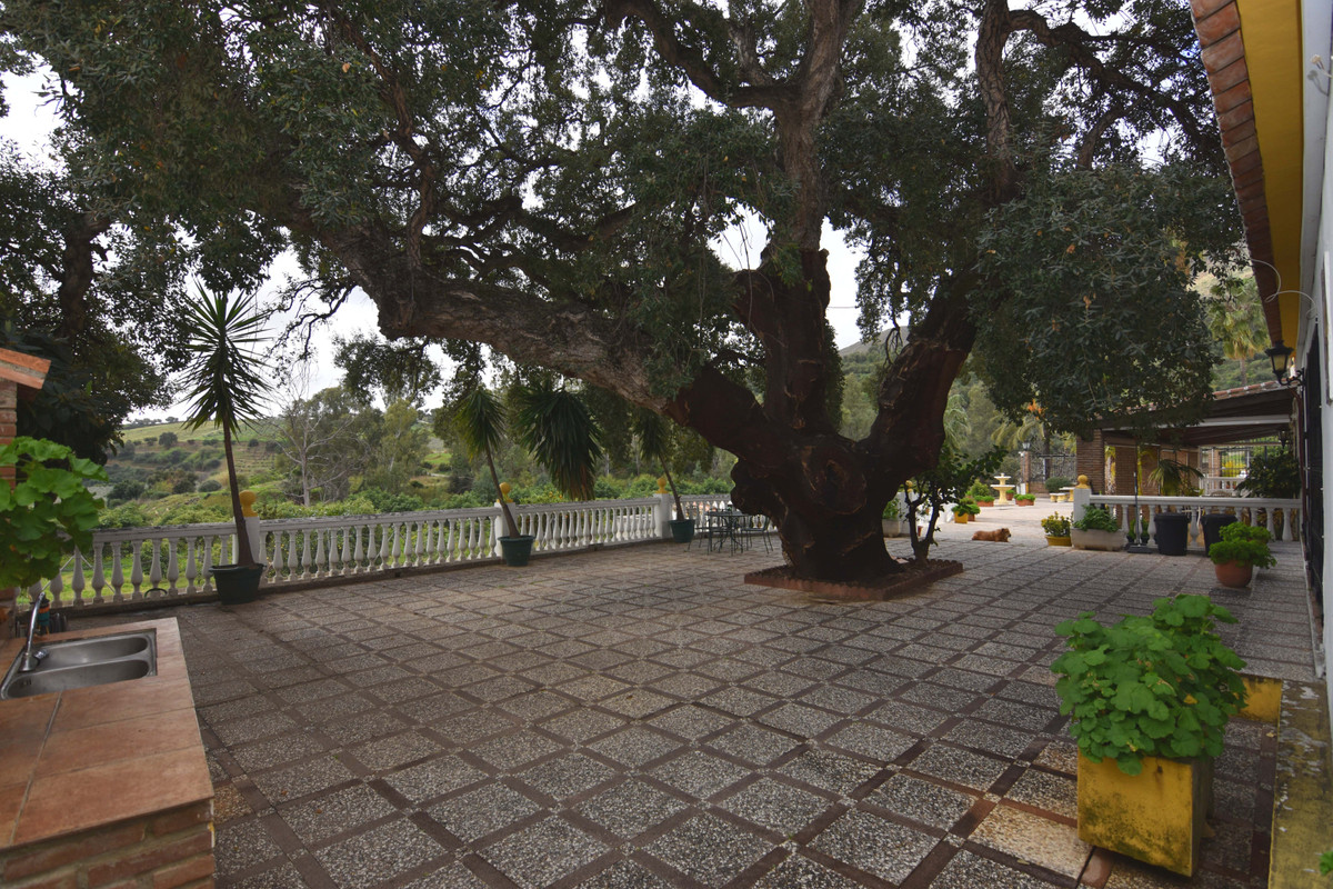 Se vende Finca - Cortijo de 8 dormitorios en Costa Del Sol, Málaga, España