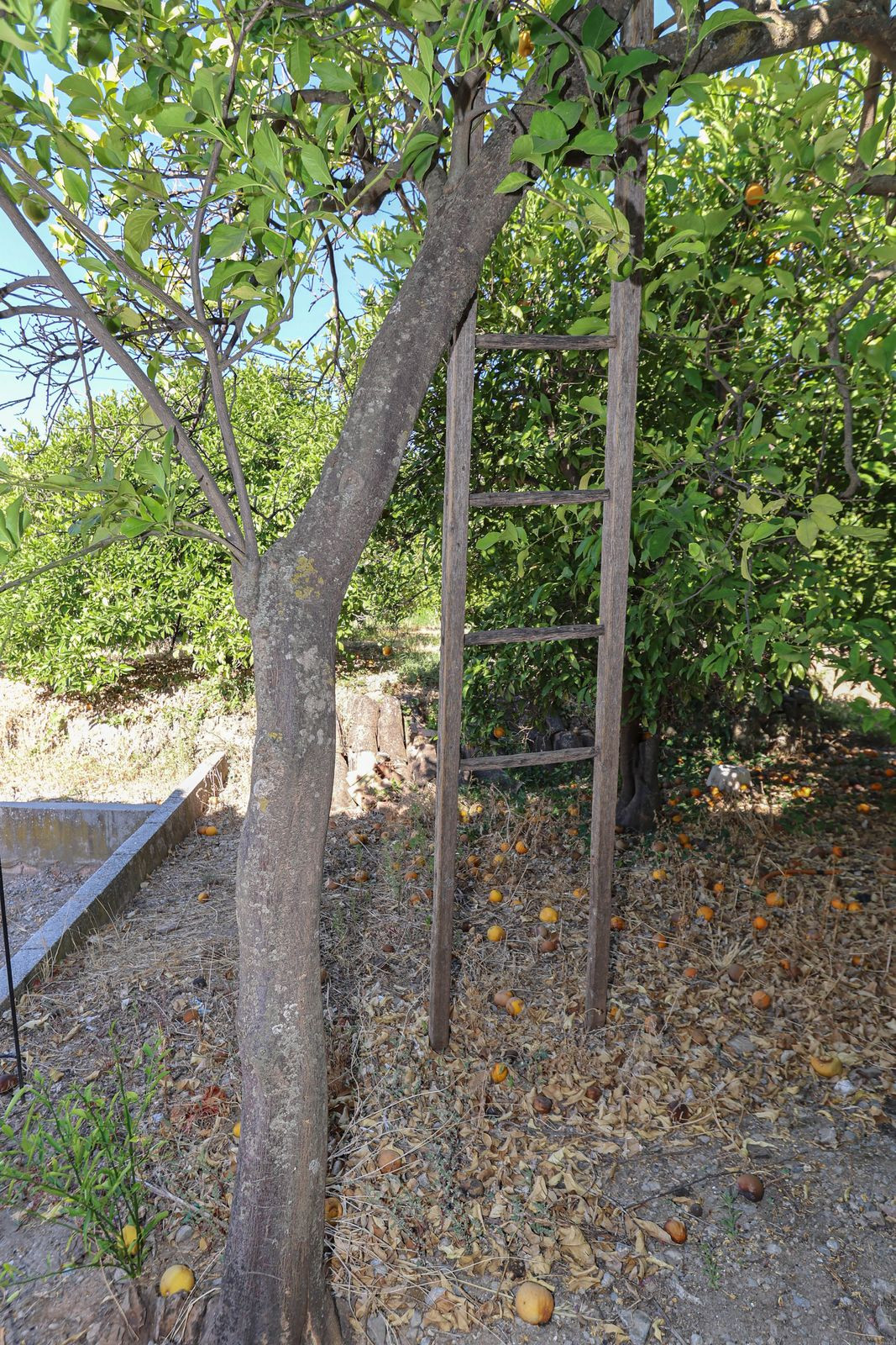 Se vende Villa - Chalet de 3 dormitorios en Costa Del Sol, Málaga, España