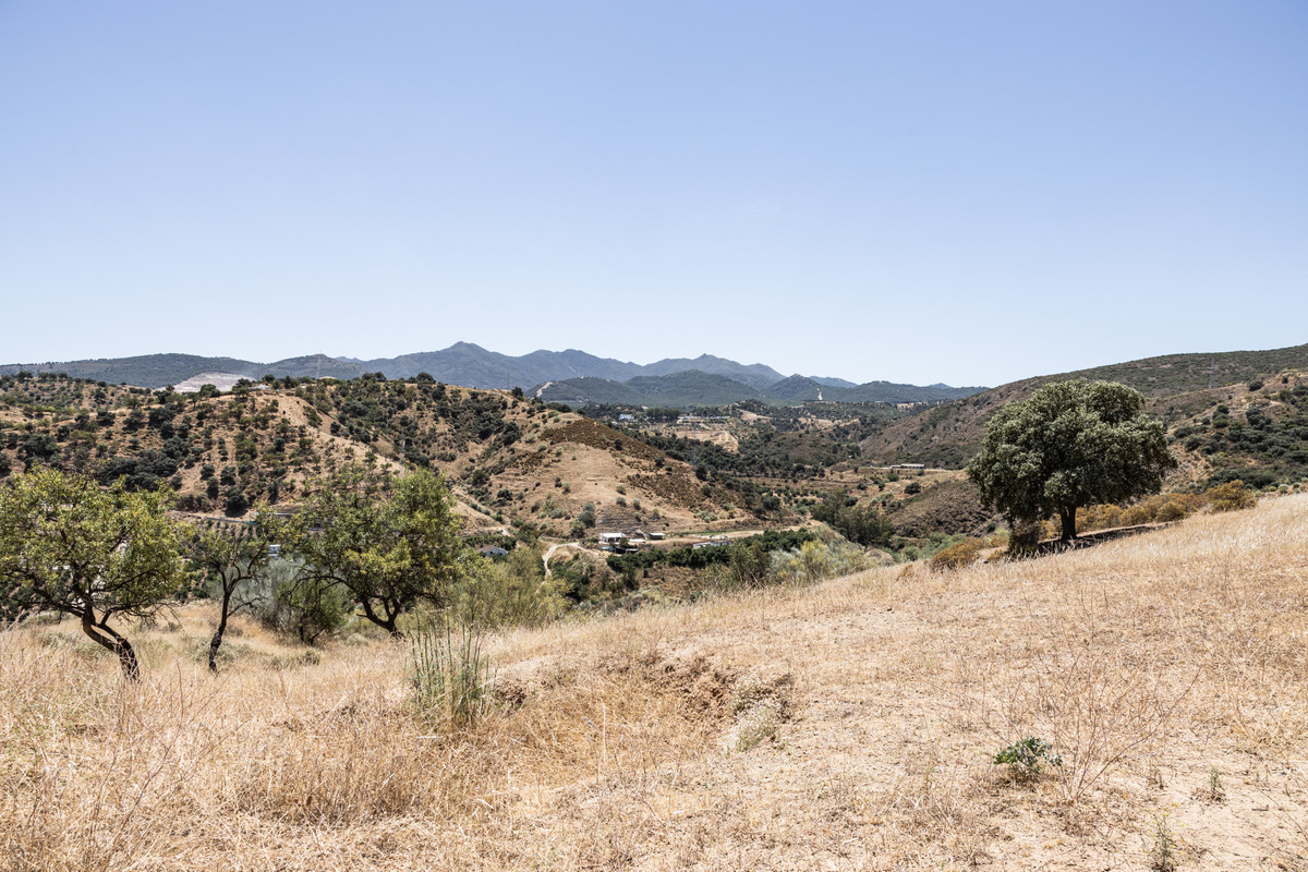 Se vende Terreno Rustico  en Costa Del Sol, Málaga, España