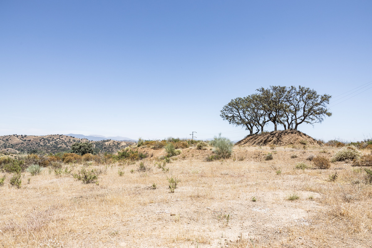 Se vende Terreno Rustico  en Costa Del Sol, Málaga, España