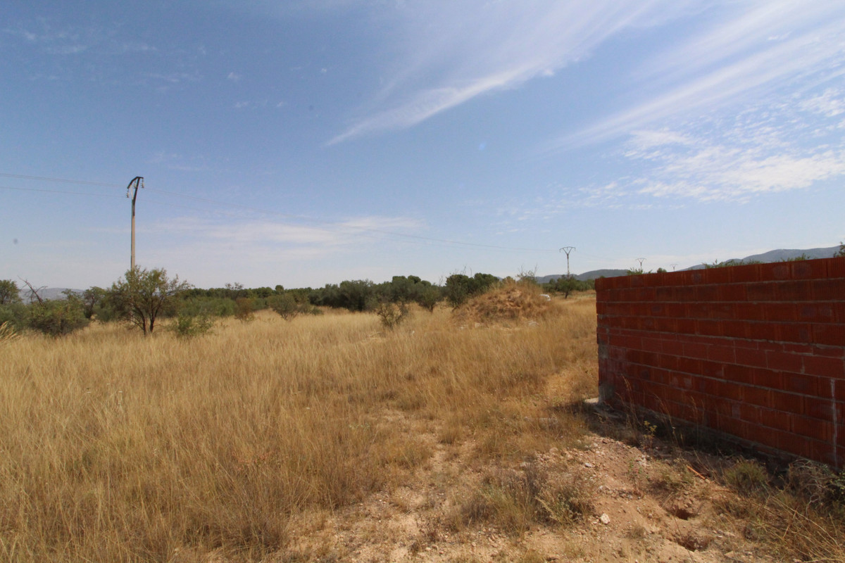Se vende Terreno Rustico  en Costa Blanca, Alicante, España