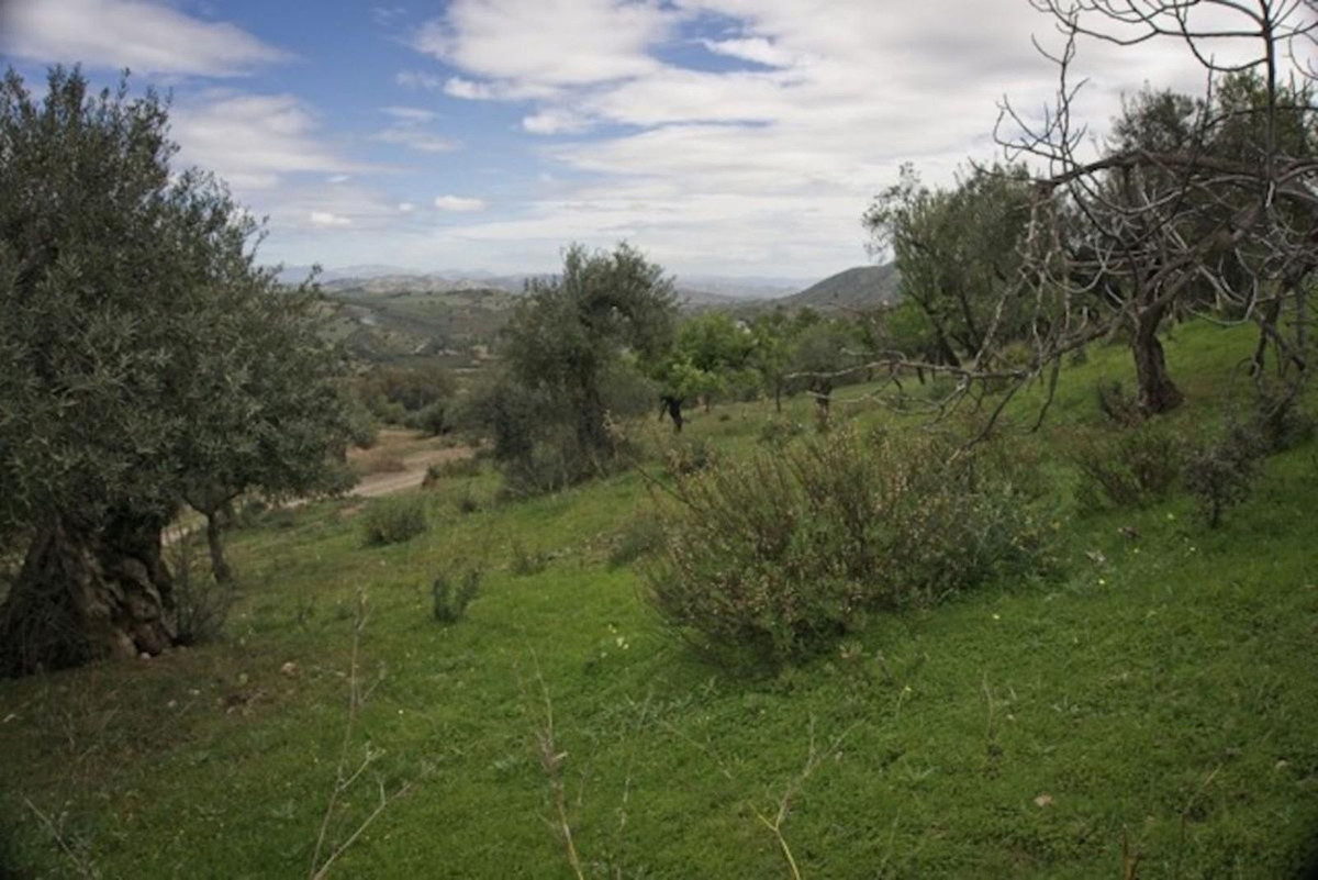 Se vende Terreno Urbano  en Costa Del Sol, Málaga, España