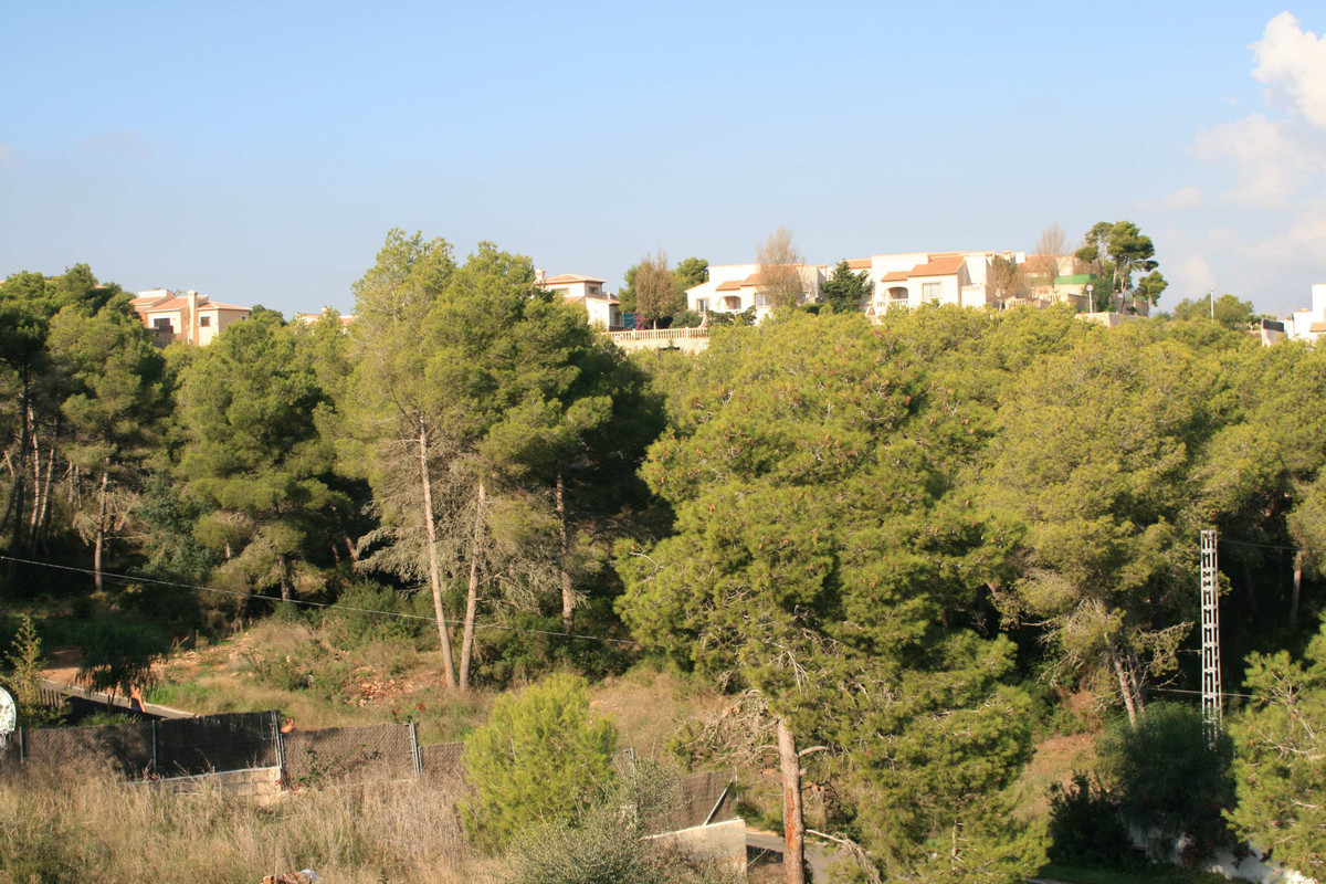 Se vende Terreno Rustico  en Costa Blanca, Alicante, España