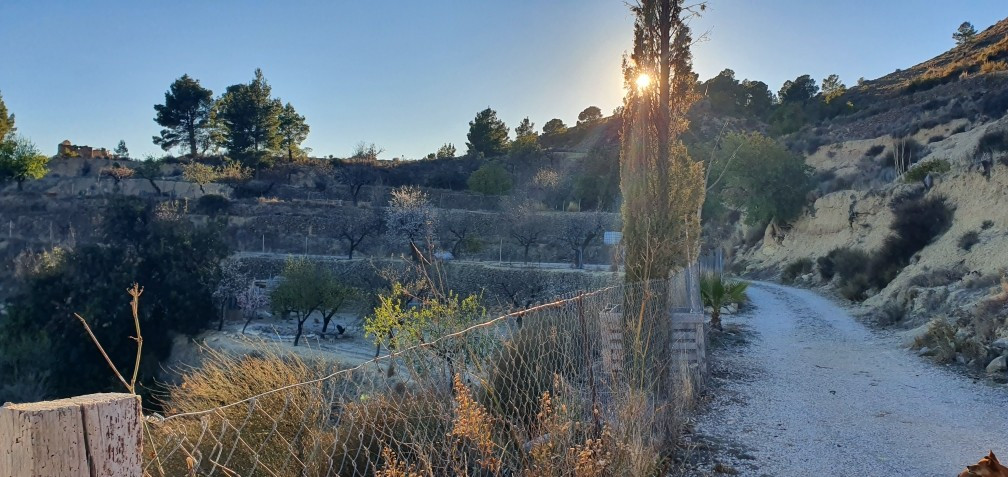 Se vende Terreno Rustico  en Costa Blanca, Alicante, España