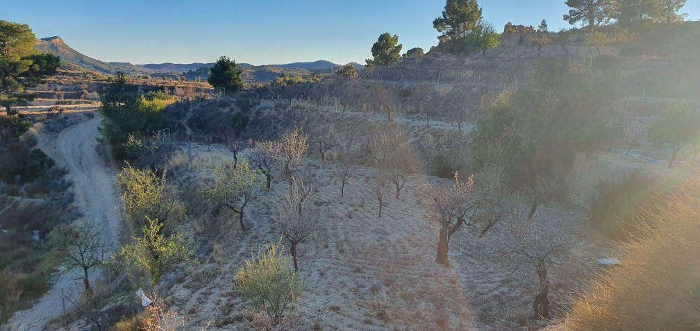 Se vende Terreno Rustico  en Costa Blanca, Alicante, España