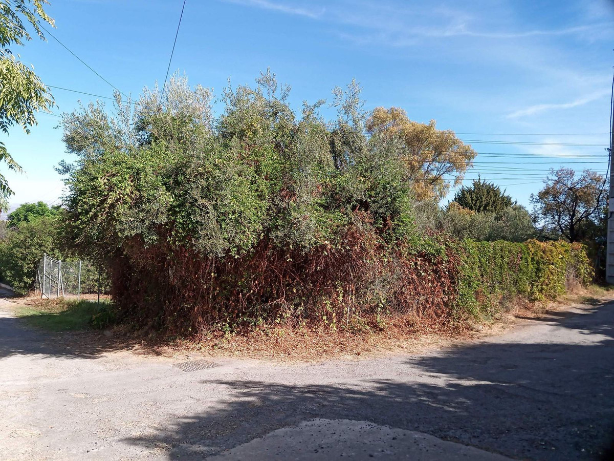 Plots for sale in Alhaurín El Grande Costa Del Sol, Málaga, Spain