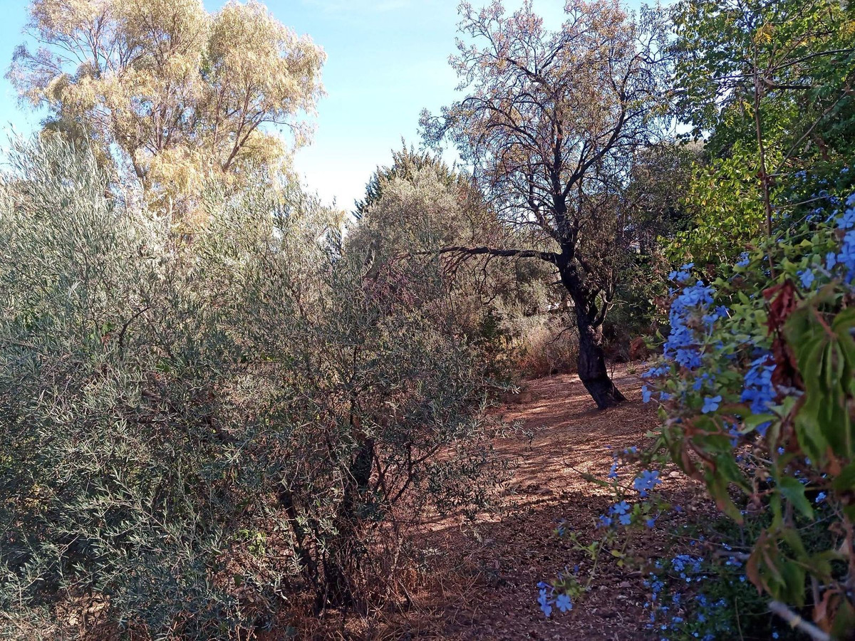 Plots for sale in Alhaurín El Grande Costa Del Sol, Málaga, Spain