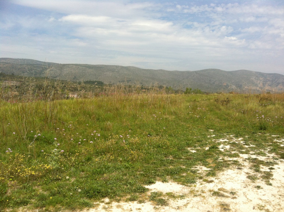 Se vende Terreno Rustico  en Costa Blanca, Alicante, España