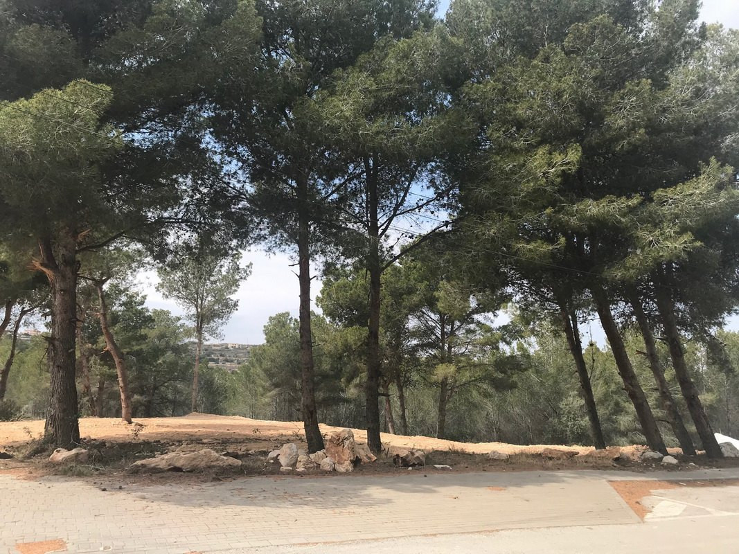 Plots for sale in Moraira Costa Blanca, Alicante, Spain