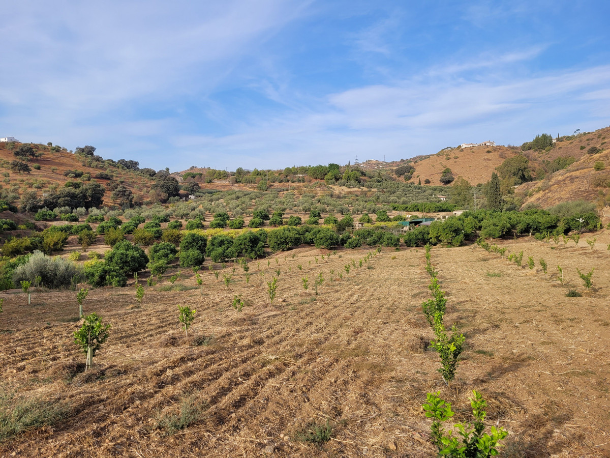 Plots for sale in Guaro Costa Del Sol, Málaga, Spain