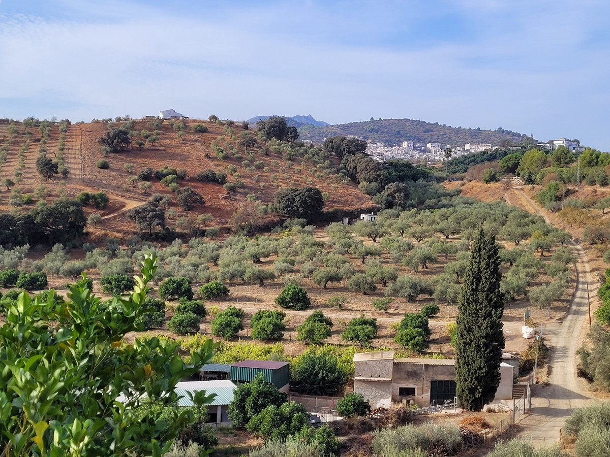 Plots for sale in Guaro Costa Del Sol, Málaga, Spain