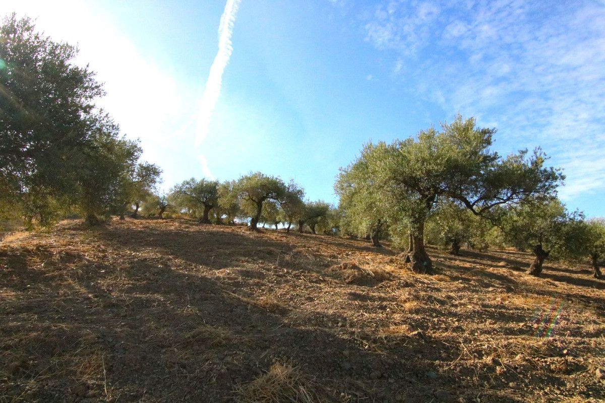Se vende Terreno Rustico  en Costa Del Sol, Málaga, España