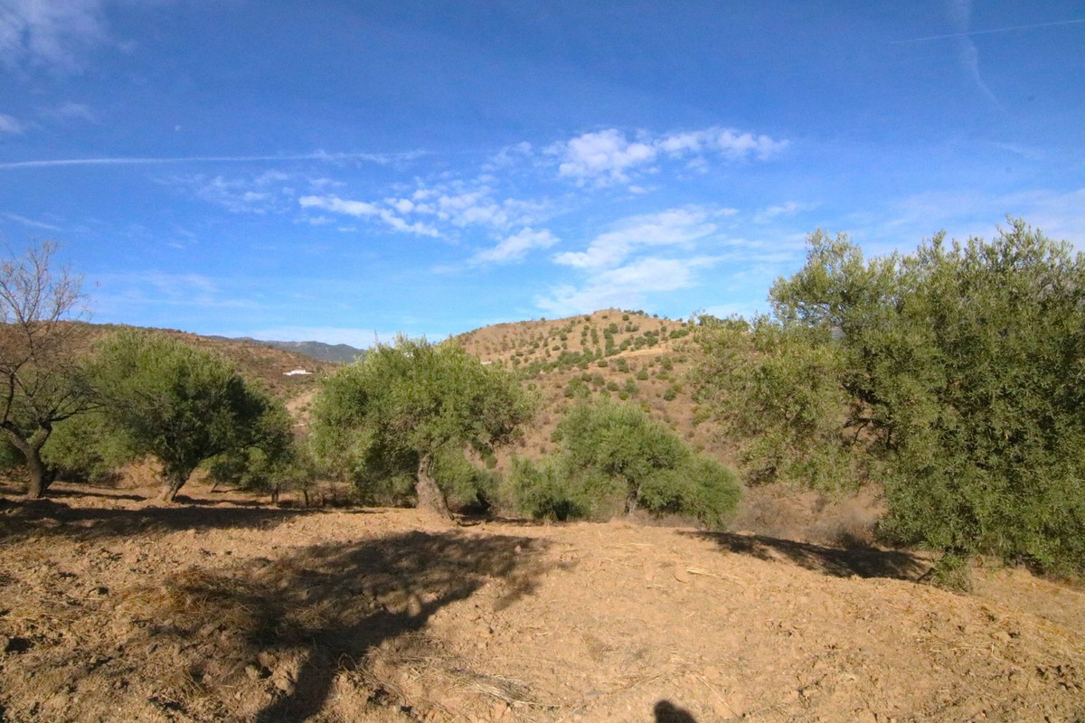 Se vende Terreno Rustico  en Costa Del Sol, Málaga, España
