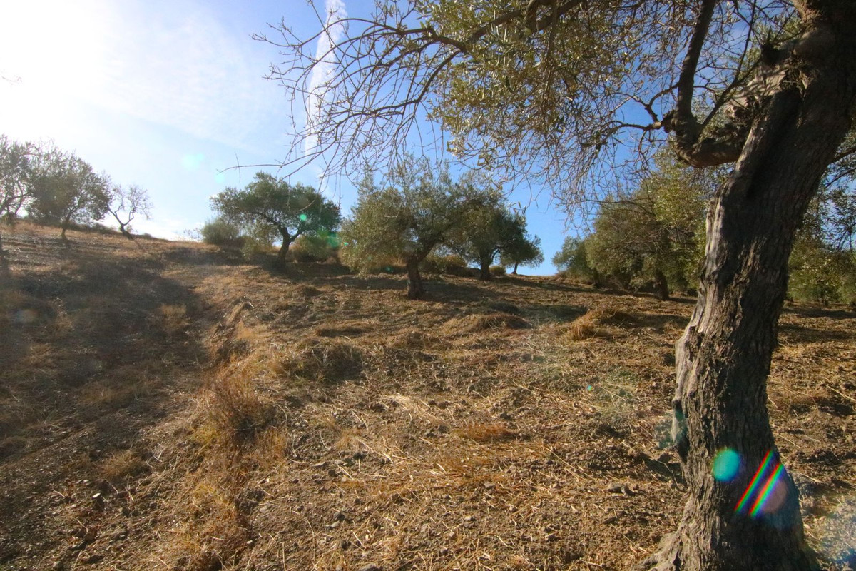 Se vende Terreno Rustico  en Costa Del Sol, Málaga, España