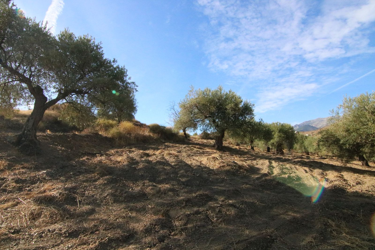 Se vende Terreno Rustico  en Costa Del Sol, Málaga, España