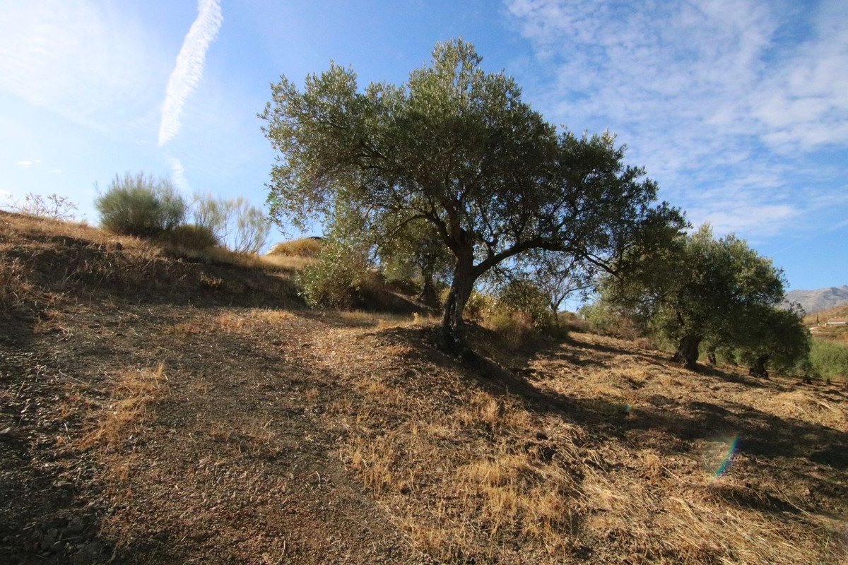 Se vende Terreno Rustico  en Costa Del Sol, Málaga, España