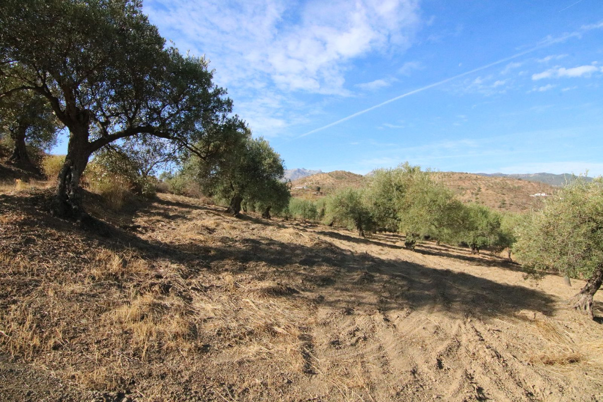 Se vende Terreno Rustico  en Costa Del Sol, Málaga, España