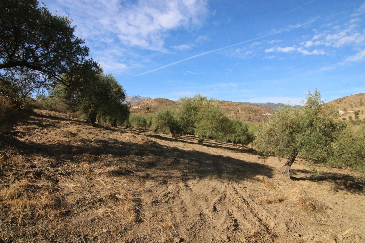 Se vende Terreno Rustico  en Costa Del Sol, Málaga, España