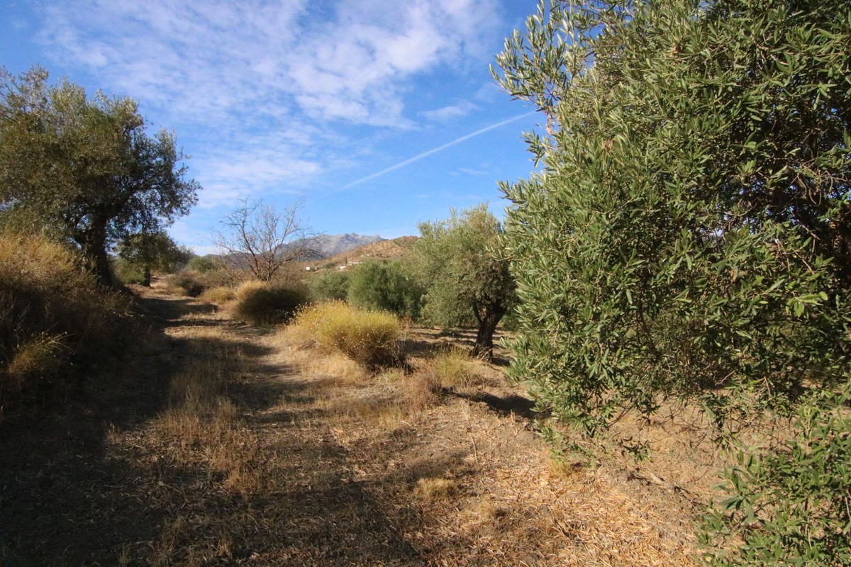 Se vende Terreno Rustico  en Costa Del Sol, Málaga, España