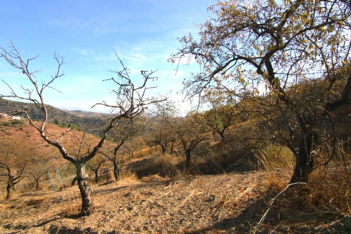 Se vende Terreno Rustico  en Costa Del Sol, Málaga, España