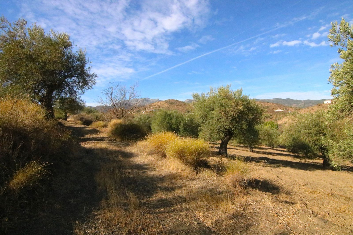 Se vende Terreno Rustico  en Costa Del Sol, Málaga, España