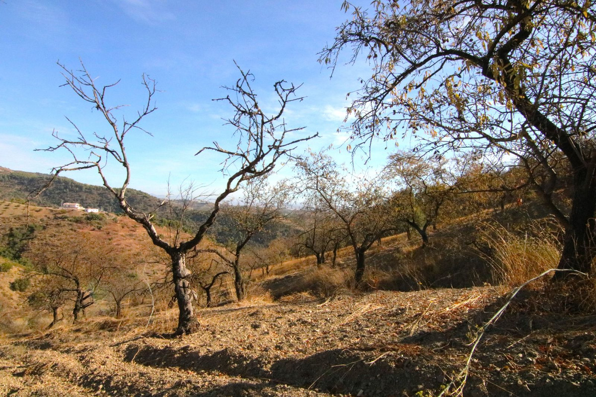 Se vende Terreno Rustico  en Costa Del Sol, Málaga, España