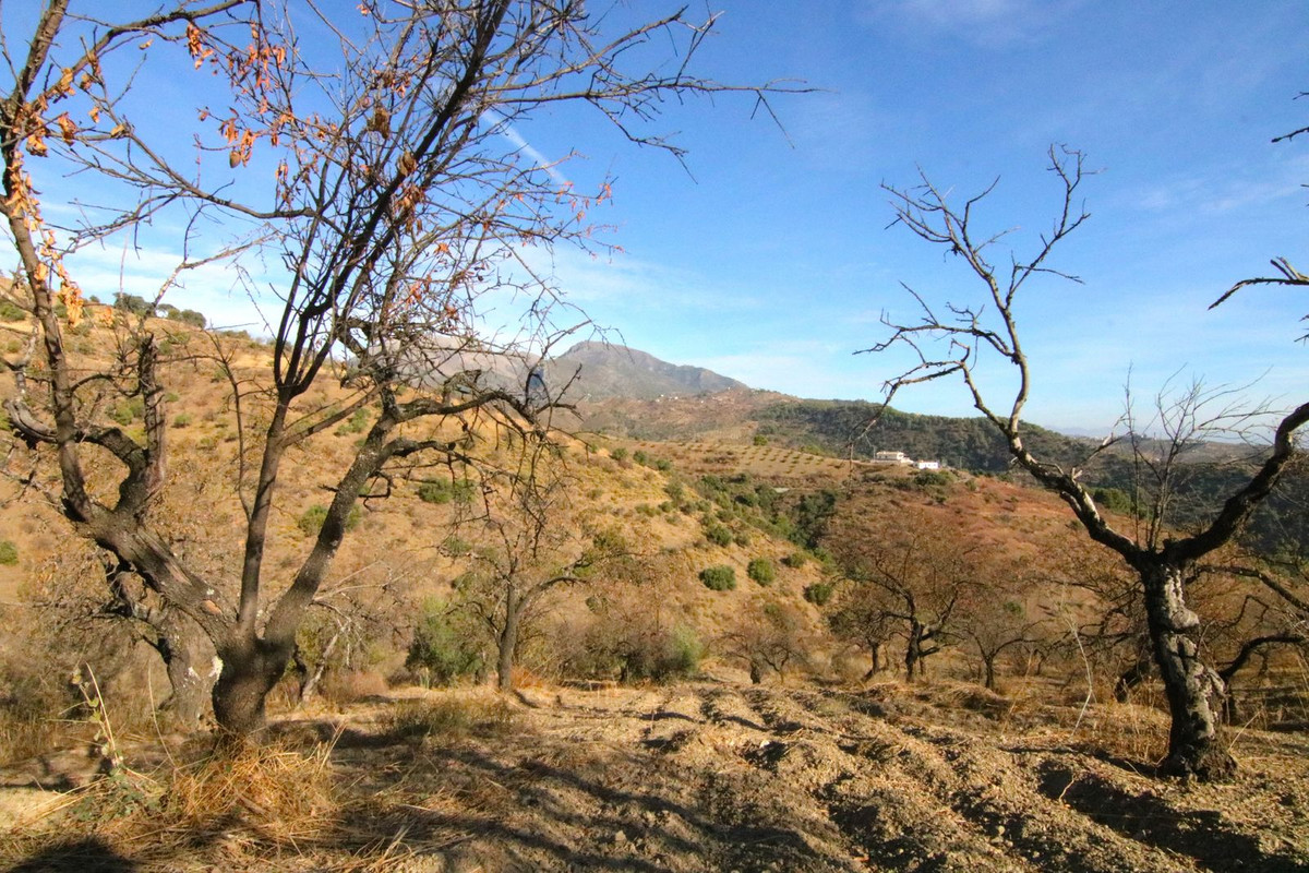 Se vende Terreno Rustico  en Costa Del Sol, Málaga, España