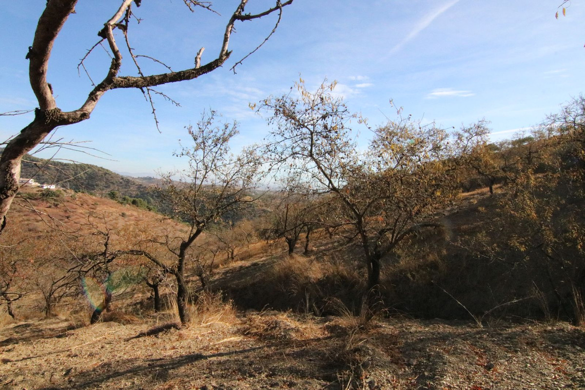 Se vende Terreno Rustico  en Costa Del Sol, Málaga, España