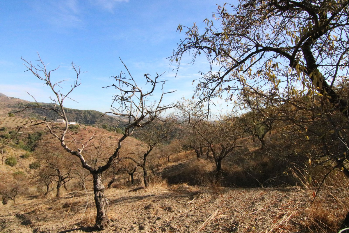 Se vende Terreno Rustico  en Costa Del Sol, Málaga, España