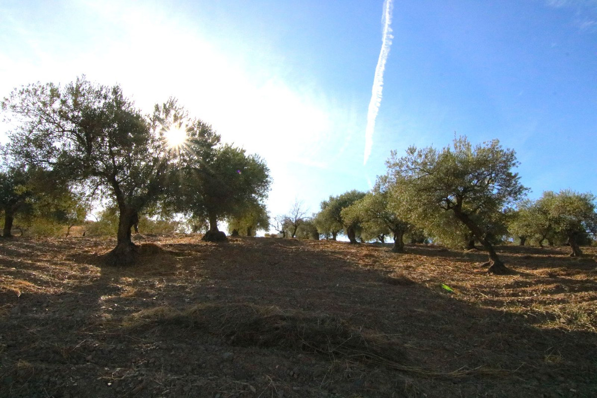 Se vende Terreno Rustico  en Costa Del Sol, Málaga, España