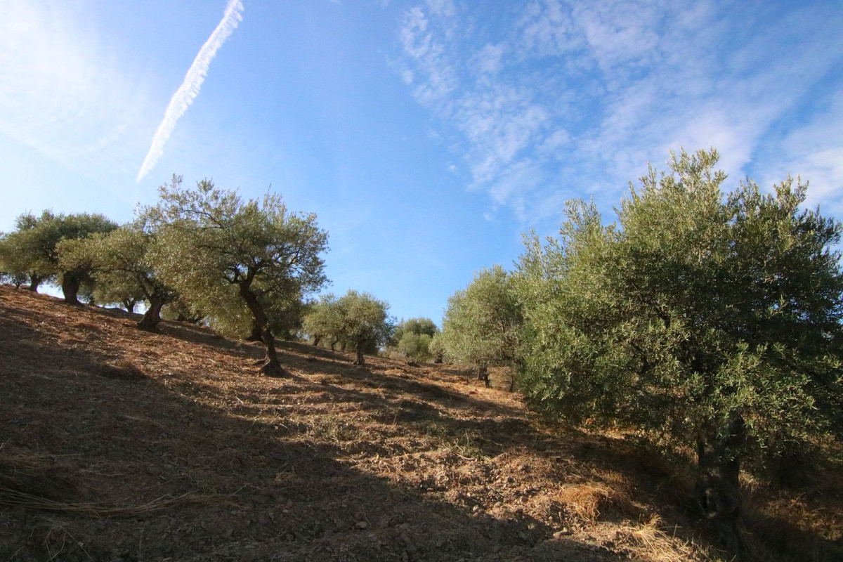 Se vende Terreno Rustico  en Costa Del Sol, Málaga, España