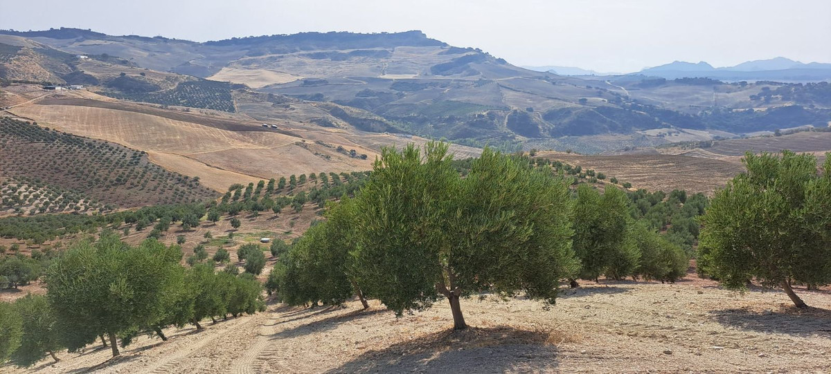 Plots for sale in Ronda Costa Del Sol, Málaga, Spain