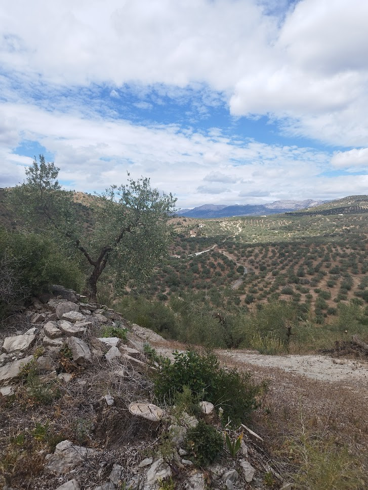Se vende Terreno Rustico de 1 dormitorios en Costa Del Sol East, Málaga, España