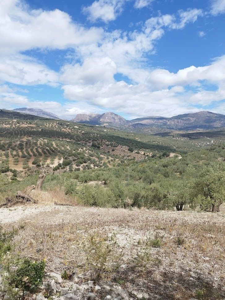 Se vende Terreno Rustico de 1 dormitorios en Costa Del Sol East, Málaga, España