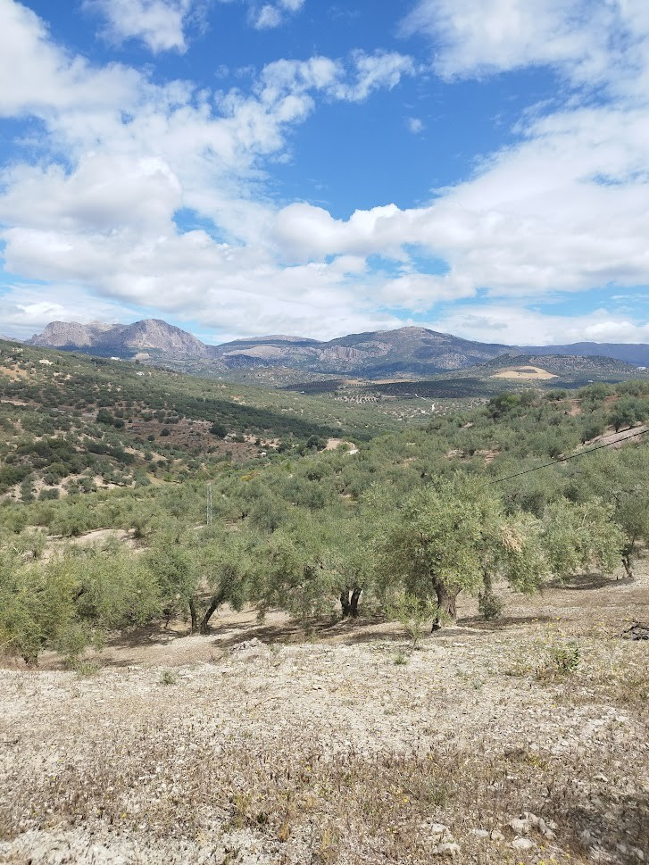 Se vende Terreno Rustico de 1 dormitorios en Costa Del Sol East, Málaga, España
