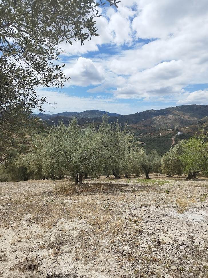 Se vende Terreno Rustico de 1 dormitorios en Costa Del Sol East, Málaga, España
