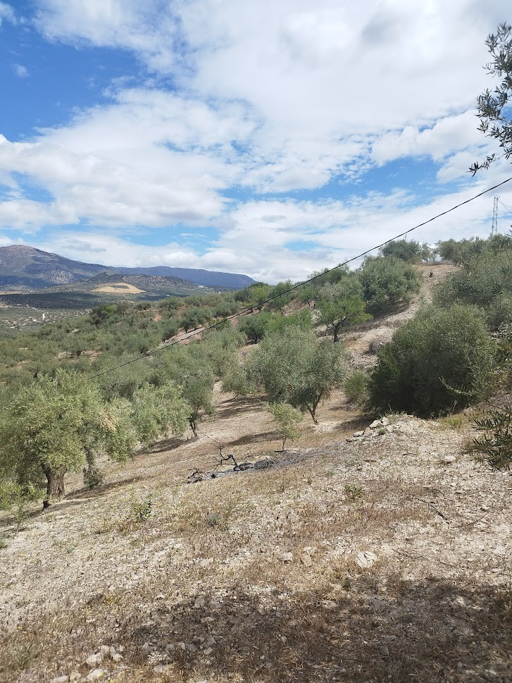 Se vende Terreno Rustico de 1 dormitorios en Costa Del Sol East, Málaga, España