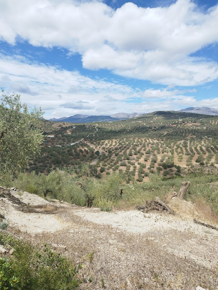 Se vende Terreno Rustico de 1 dormitorios en Costa Del Sol East, Málaga, España