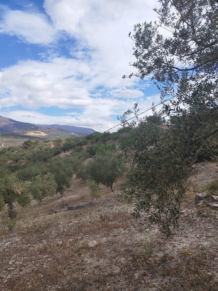 Se vende Terreno Rustico de 1 dormitorios en Costa Del Sol East, Málaga, España