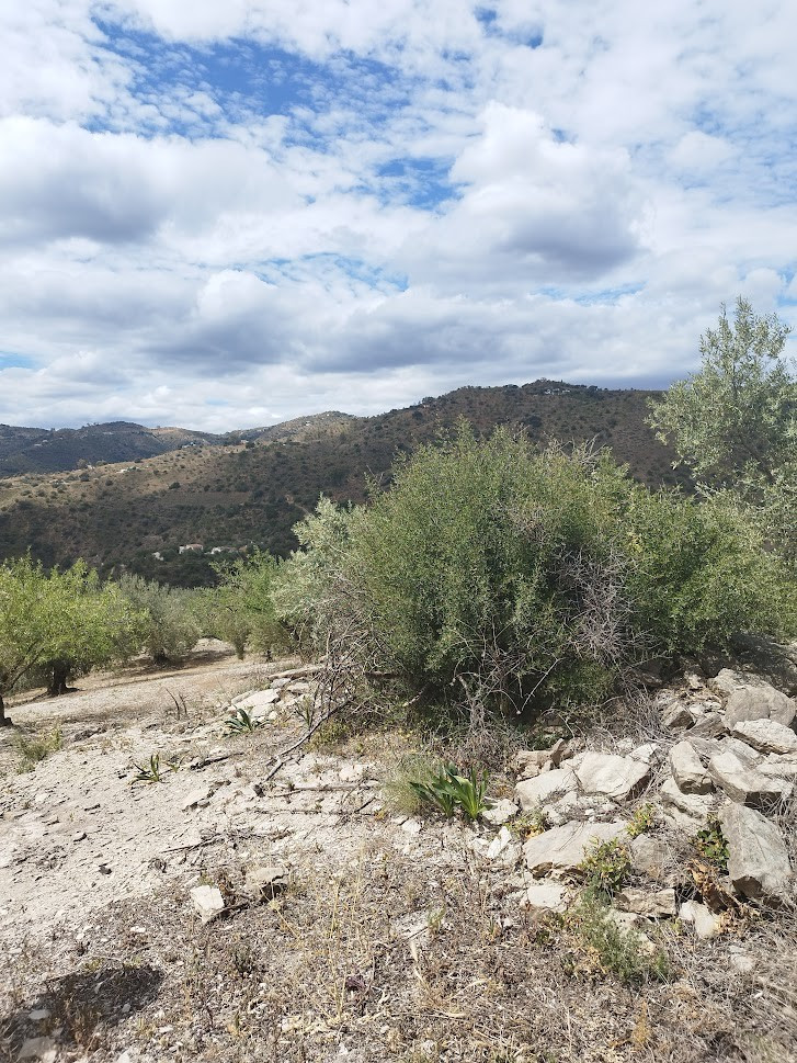 Se vende Terreno Rustico de 1 dormitorios en Costa Del Sol East, Málaga, España